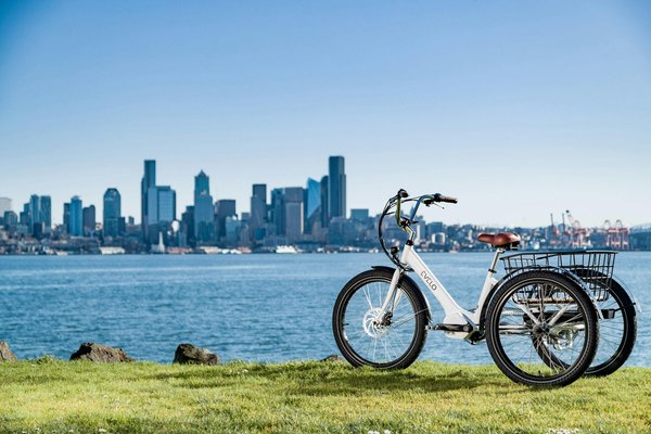 Vélo cargo électrique : maximisez vos économies urbaines